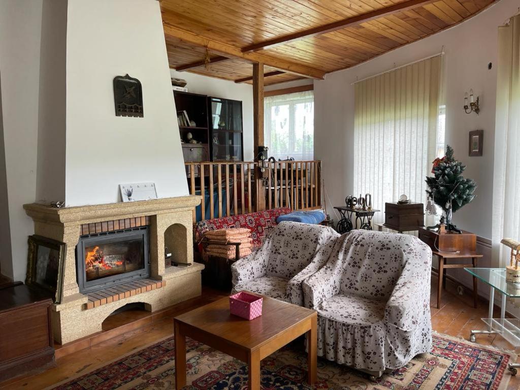Вилла Casa Adelina Valea Lunga-Cricov Экстерьер фото