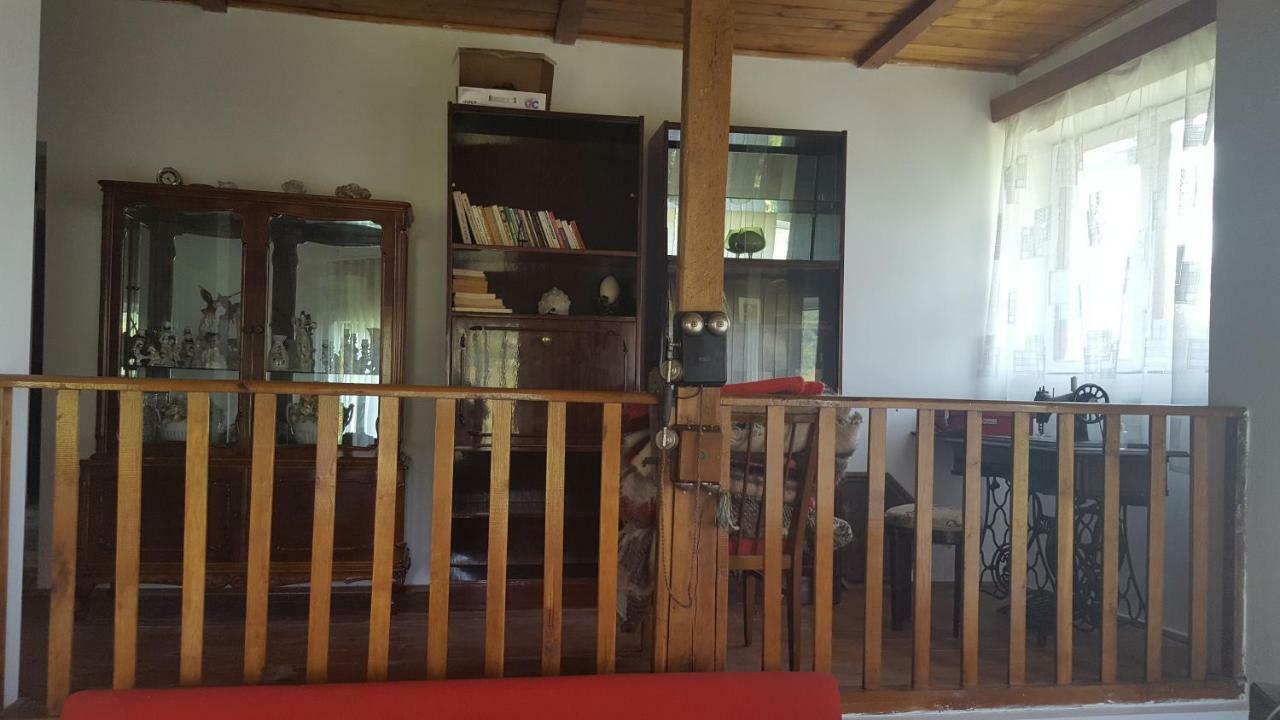 Вилла Casa Adelina Valea Lunga-Cricov Экстерьер фото